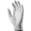 Ping Tour 201 White Men's Glove LH -Golf Supply Store P PIN20H0202PINGTOUR201GLOVEGENTSLHWHITE 1 L